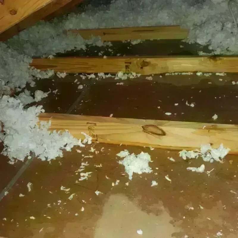 Attic Water Damage in Harrogate, TN